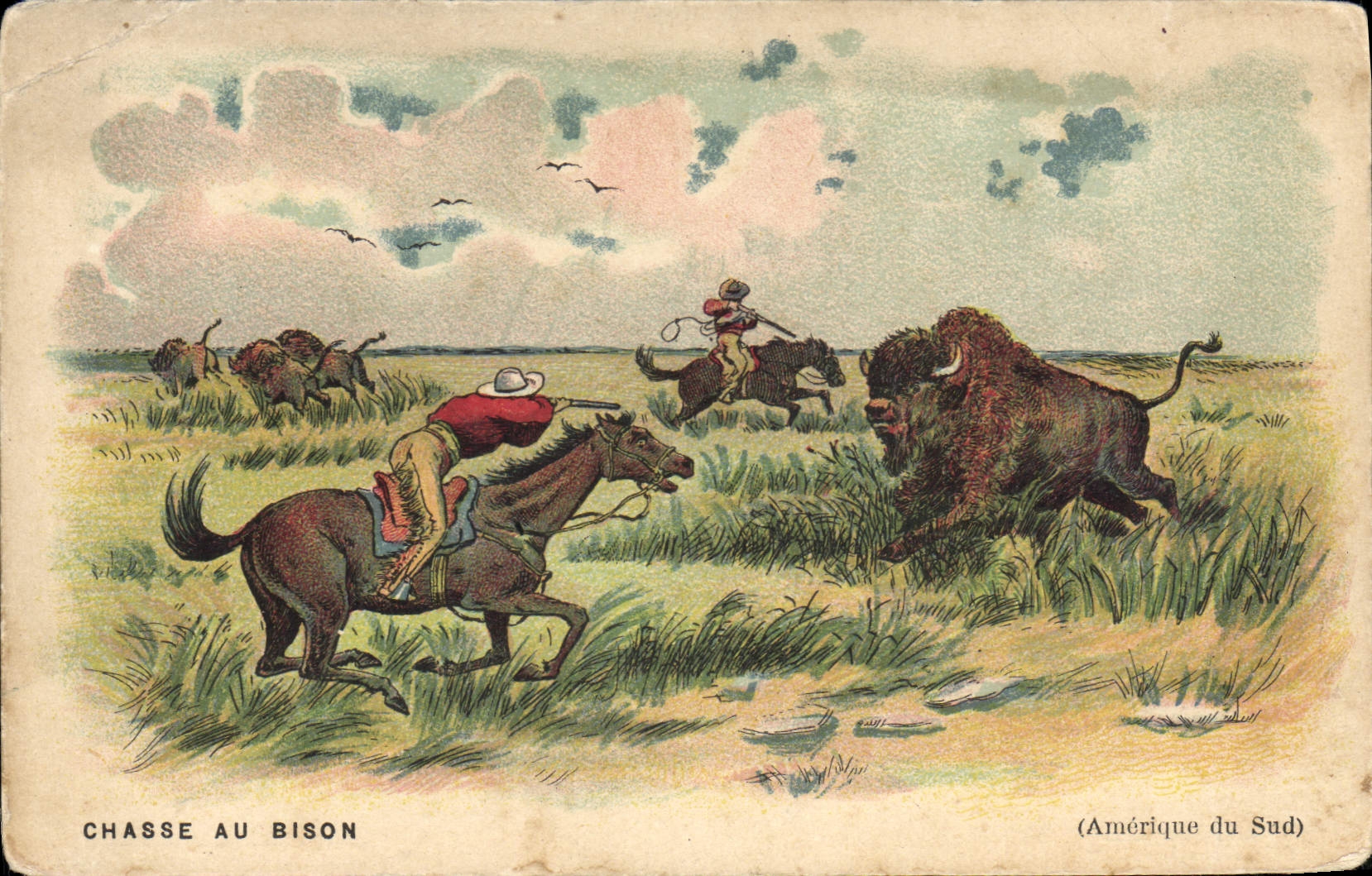 CPA Far West Cow Boy Chasse au bison Amerique du Sud 