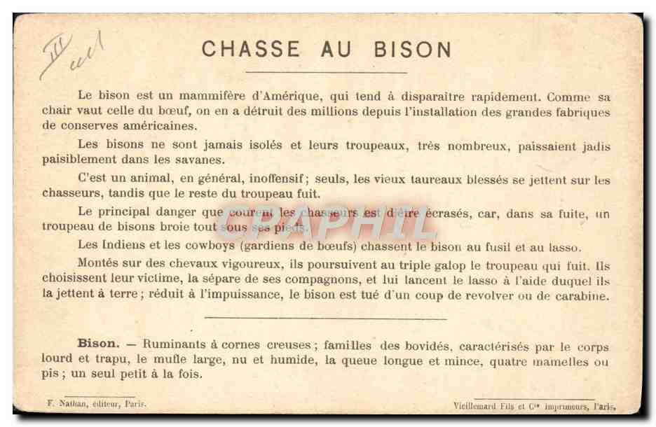 CPA Far West Cow Boy Chasse au bison Amerique du Sud  — Rückseite