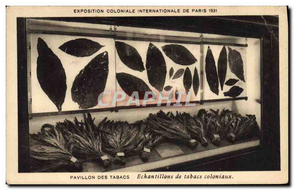 CPA Tabac Exposition coloniale internationale de Paris 1931 Pavillon des Tabacs Echantillons de tabacs coloniaux 