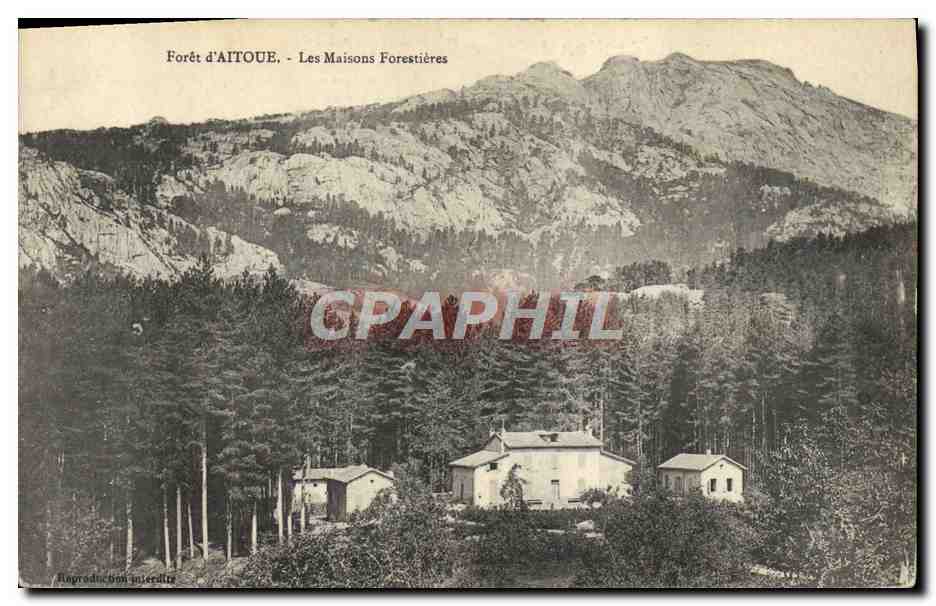 CPA Foret Foret d'Aitoue Les maisons forestieres Corse Corsica