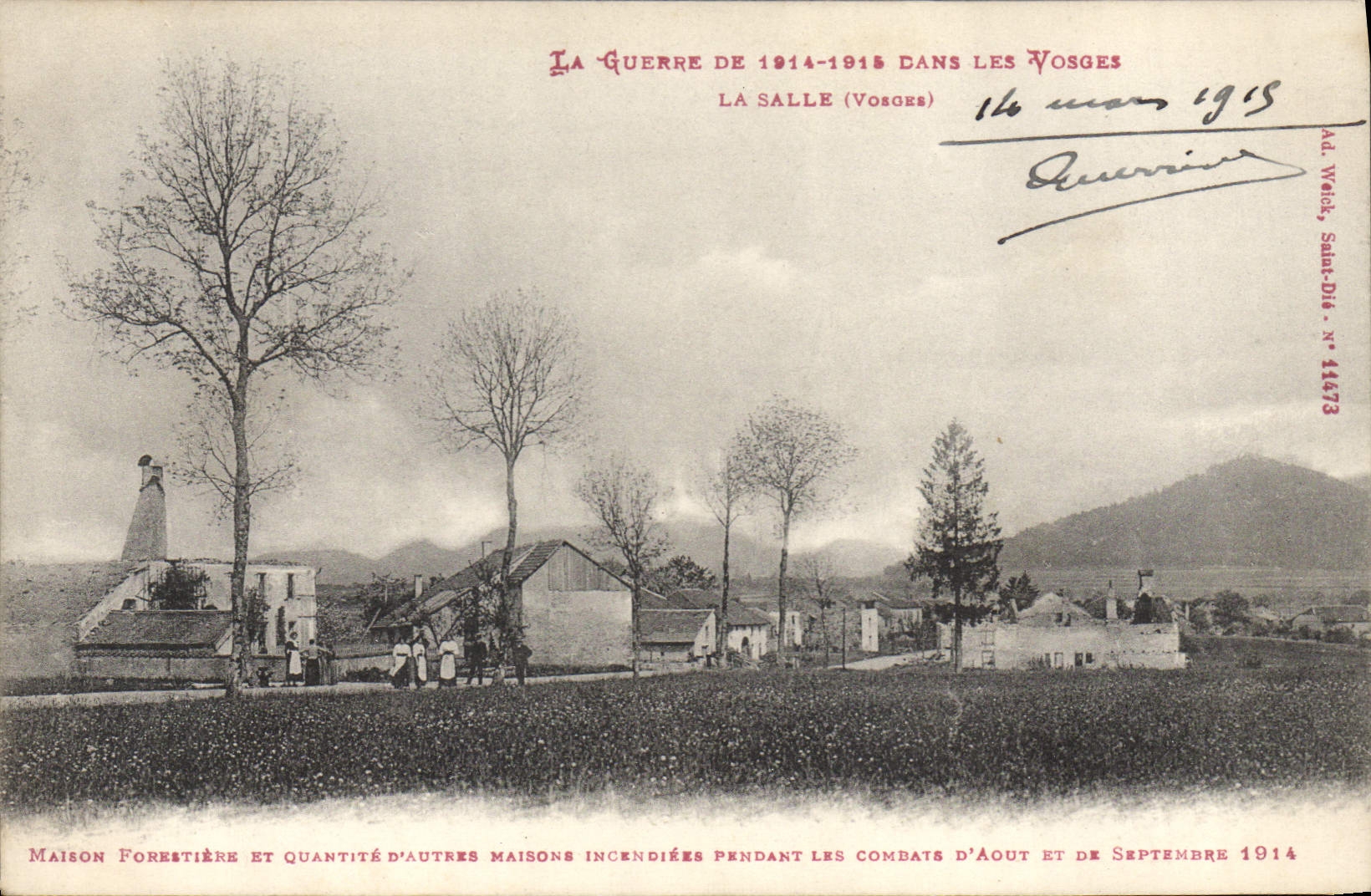 CPA Foret Vosges La Salle Maison forestiere et quantite d'autres maisons incendiees combats 1914 Militaria