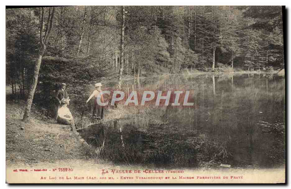 CPA Foret Vallee de Celles Au lac de la Maix Entre Vexaincourt et la Maison forestiere de PRave