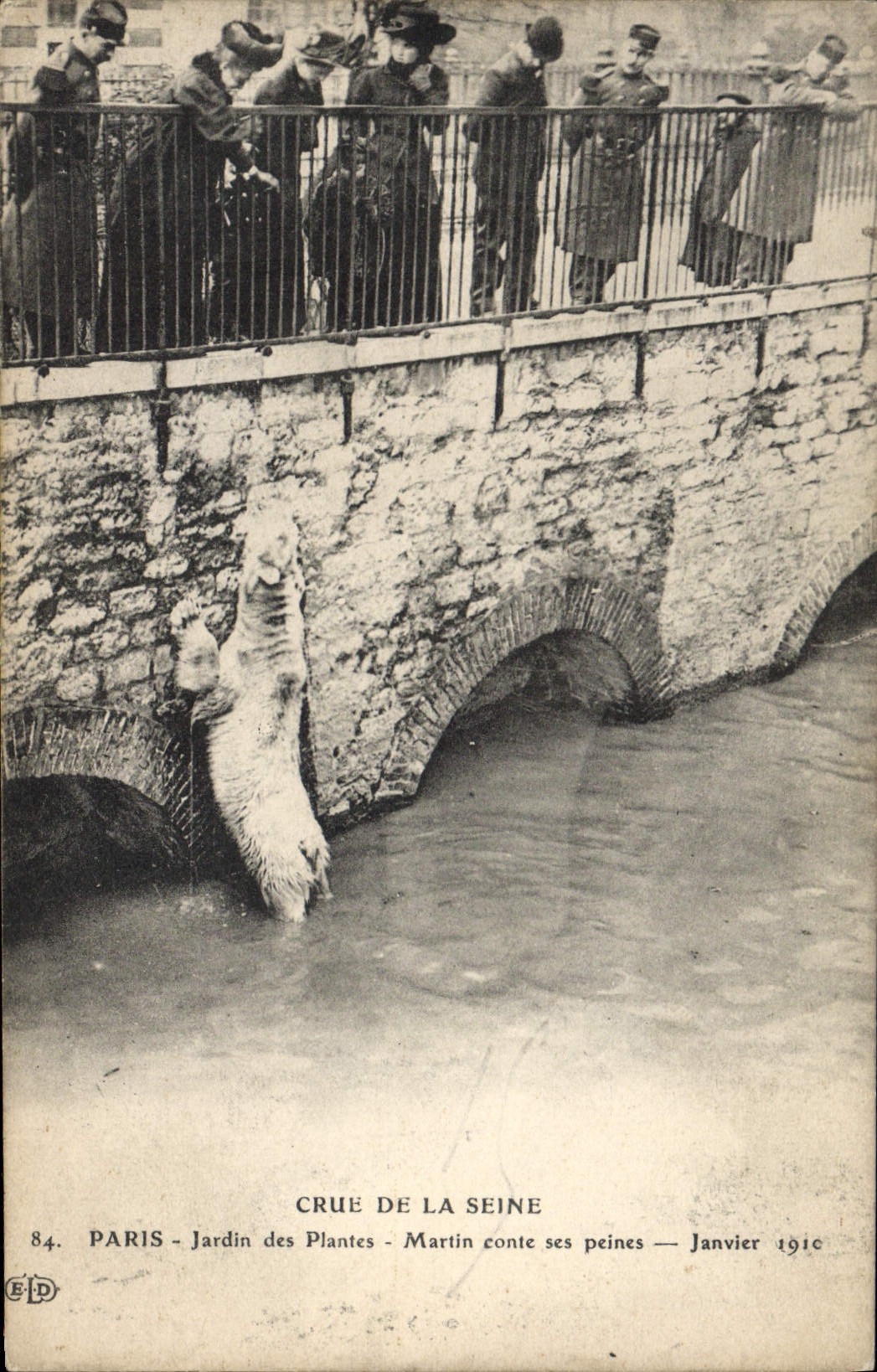 CPA Ours Crue de la Seine Paris Jardin des plantes Martin conte ses peines Janvier 1910