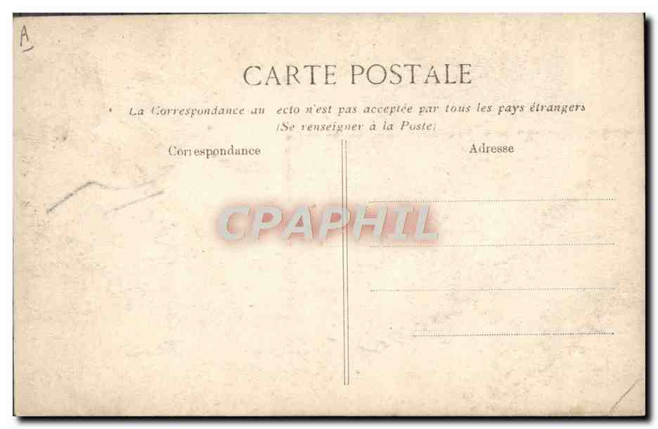 CPA Ours Crue de la Seine Paris Jardin des plantes Martin conte ses peines Janvier 1910 — Rückseite