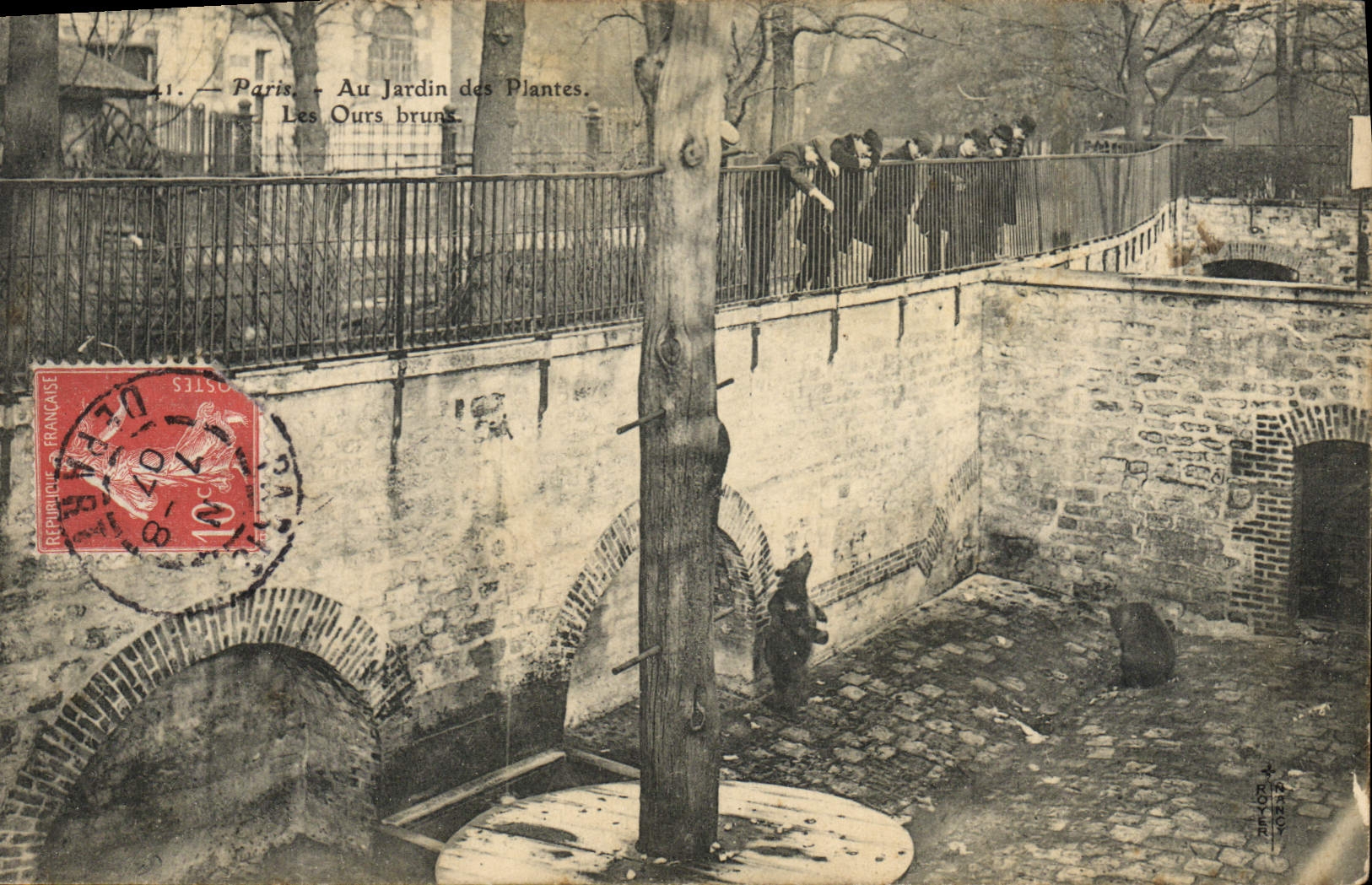 CPA Ours Paris Jardin des Plantes Les ours bruns 