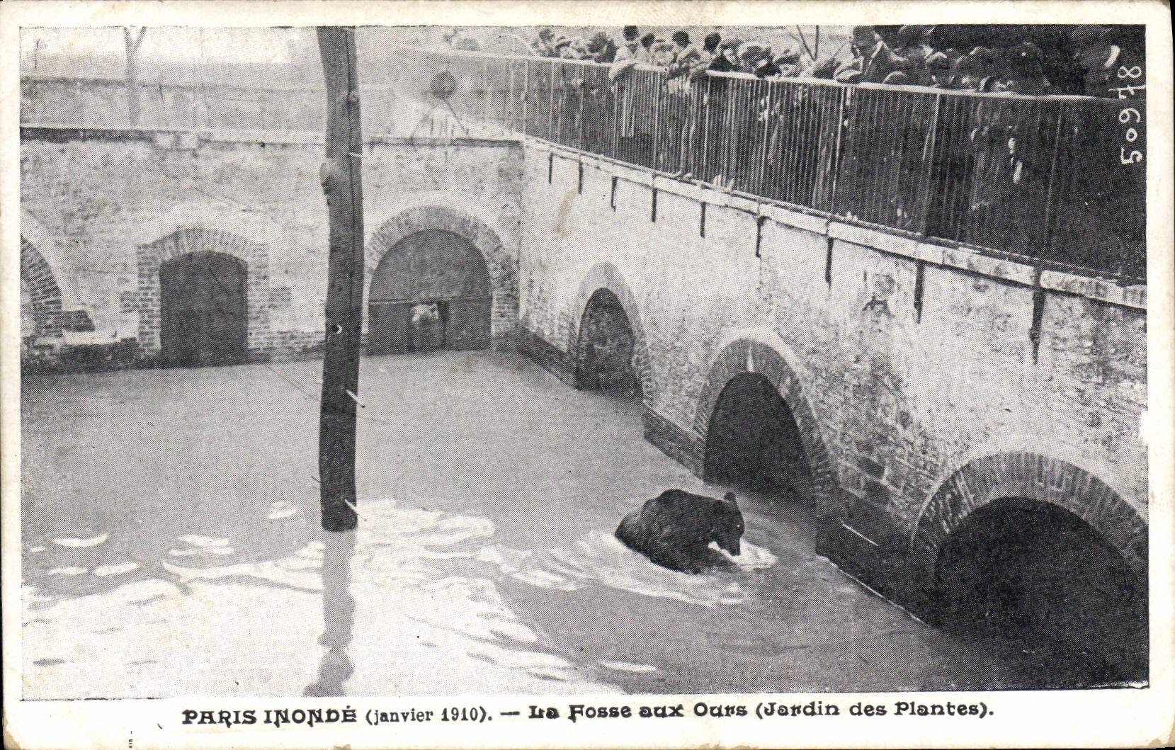 Paris inondé (janvier 1910) — La Fosse aux Ours (Jardin des Plantes)