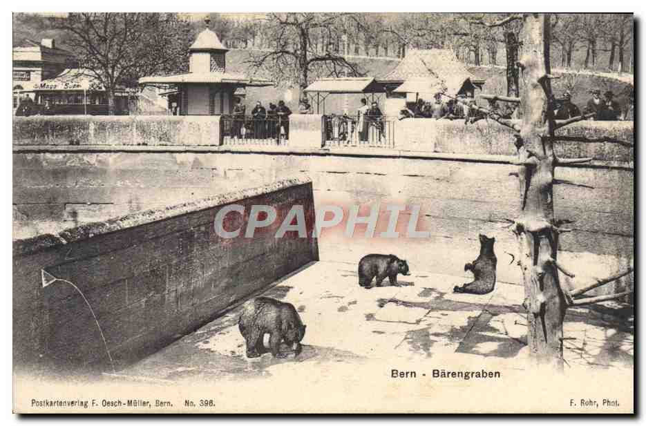 CPA Ours Bern Barengraben
