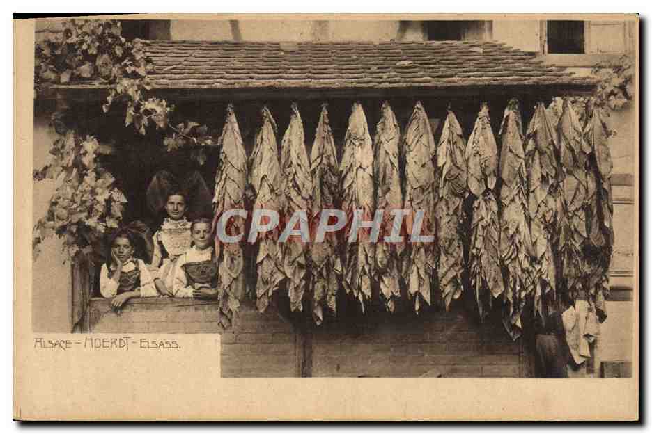 CPA Folklore Alsace Tabac 