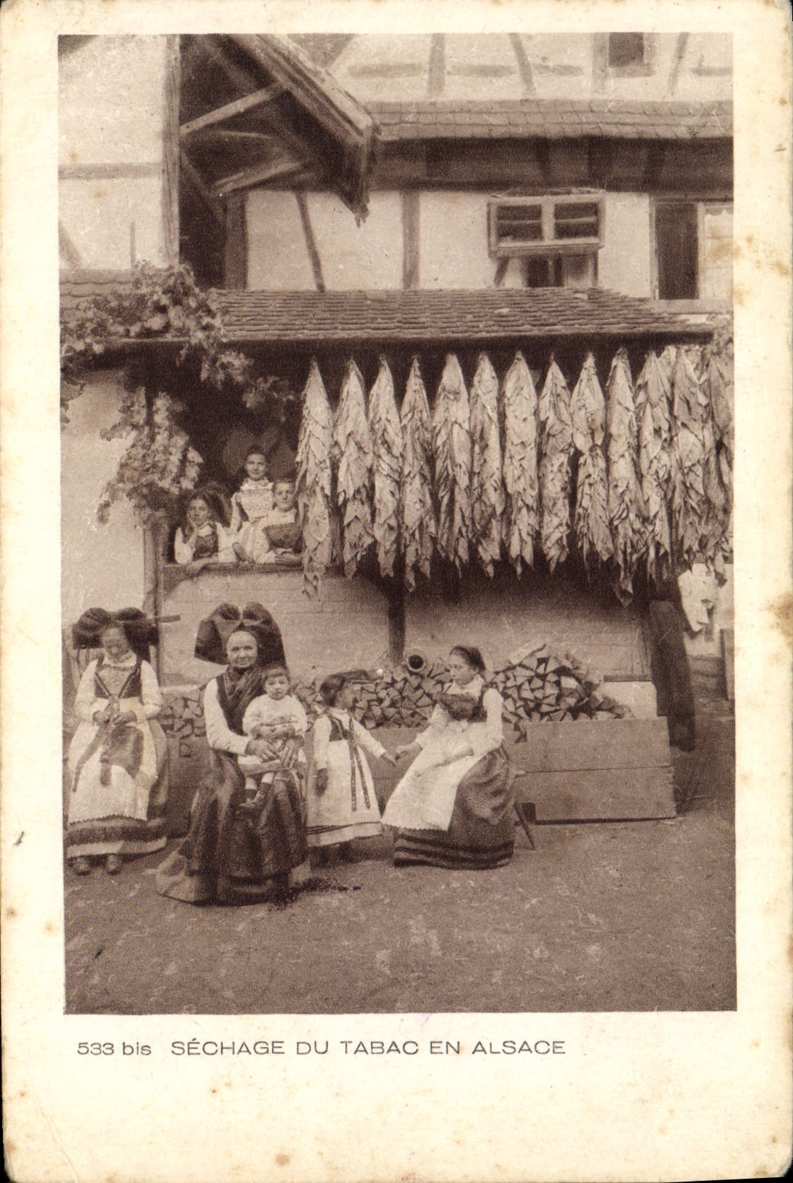 CPA Folklore Sechage du tabac en Alsace 