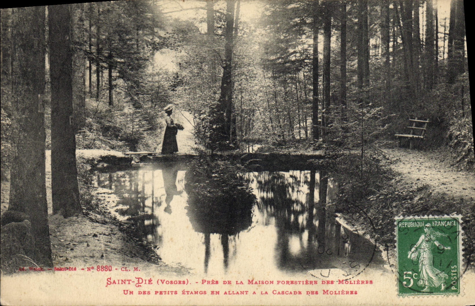 CPA Saint Die Pres de la maison forestiere des molieres Cascade 