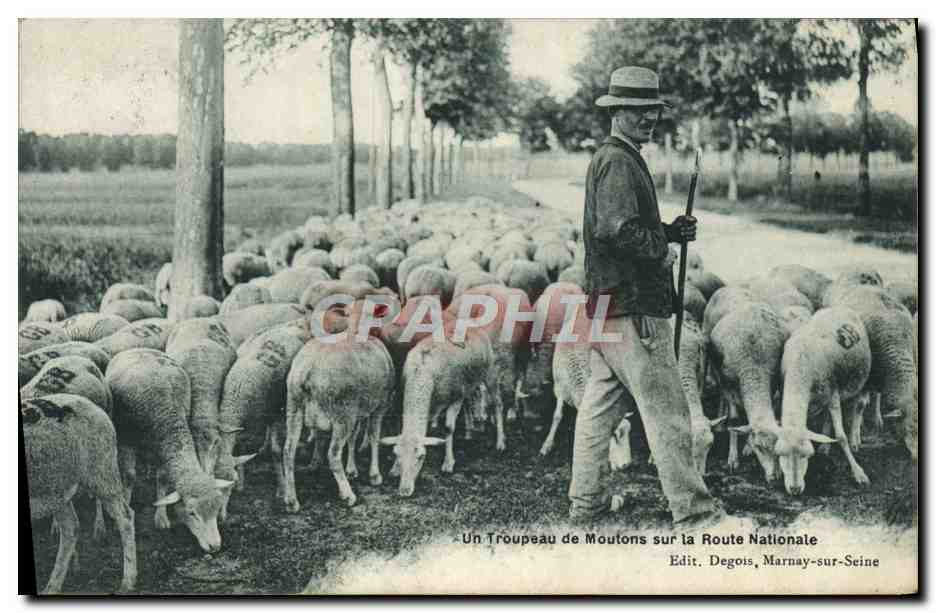 CPA Un troupeau de moutons sur la route nationale 