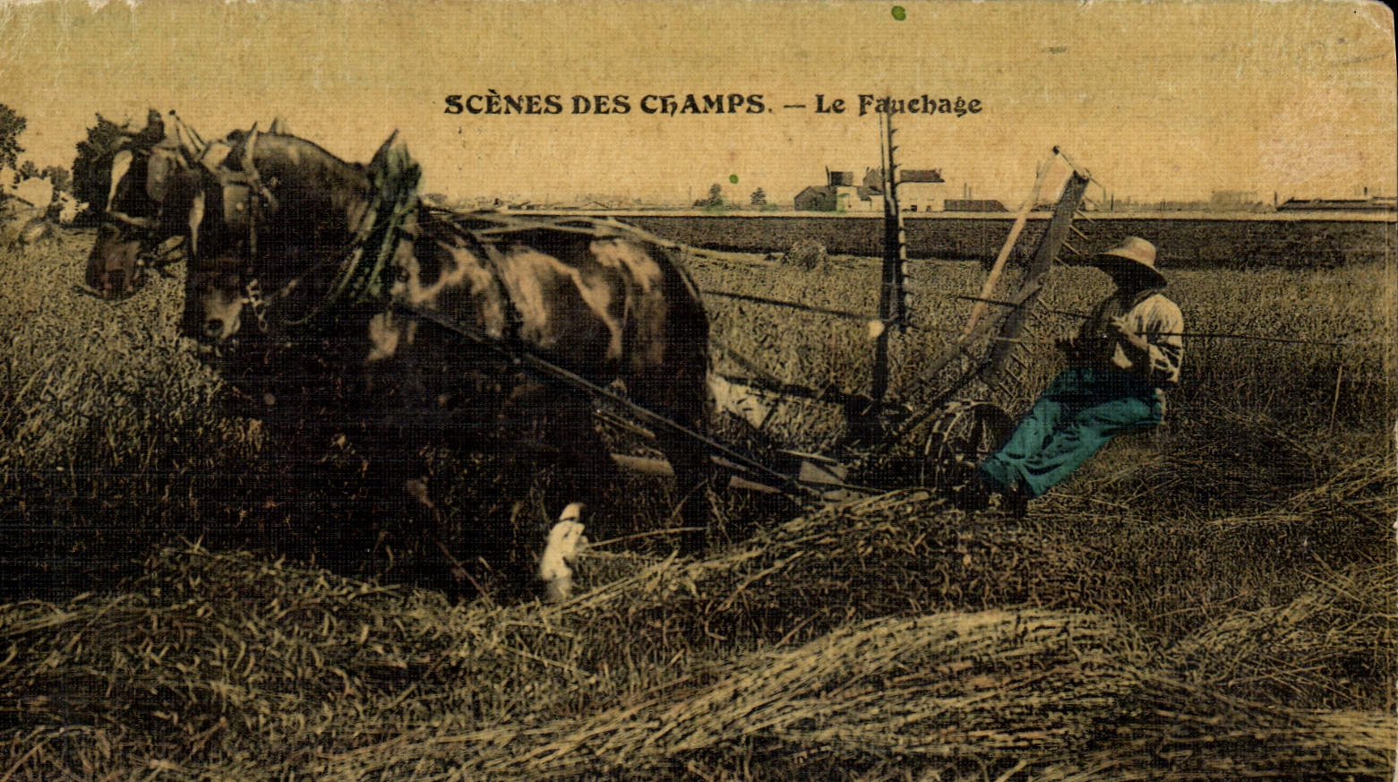 CPA Scenes des champs Le fauchage Cheval