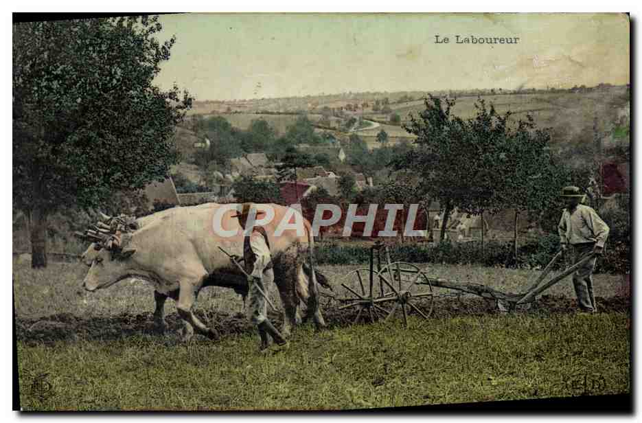 CPA Le laboureur 