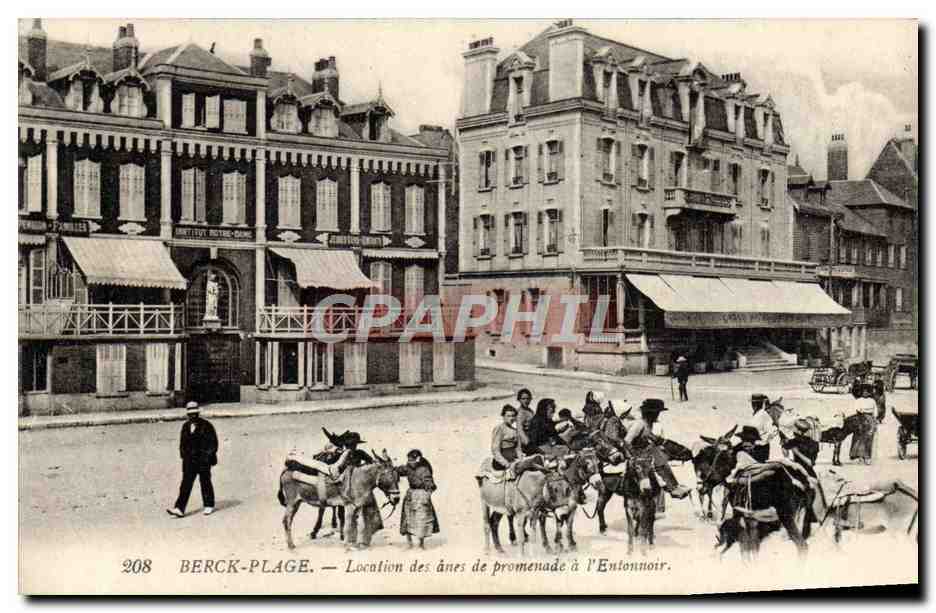 CPA Ane Mule Berck Plage Location des anes de promenade a l'entonnoir 