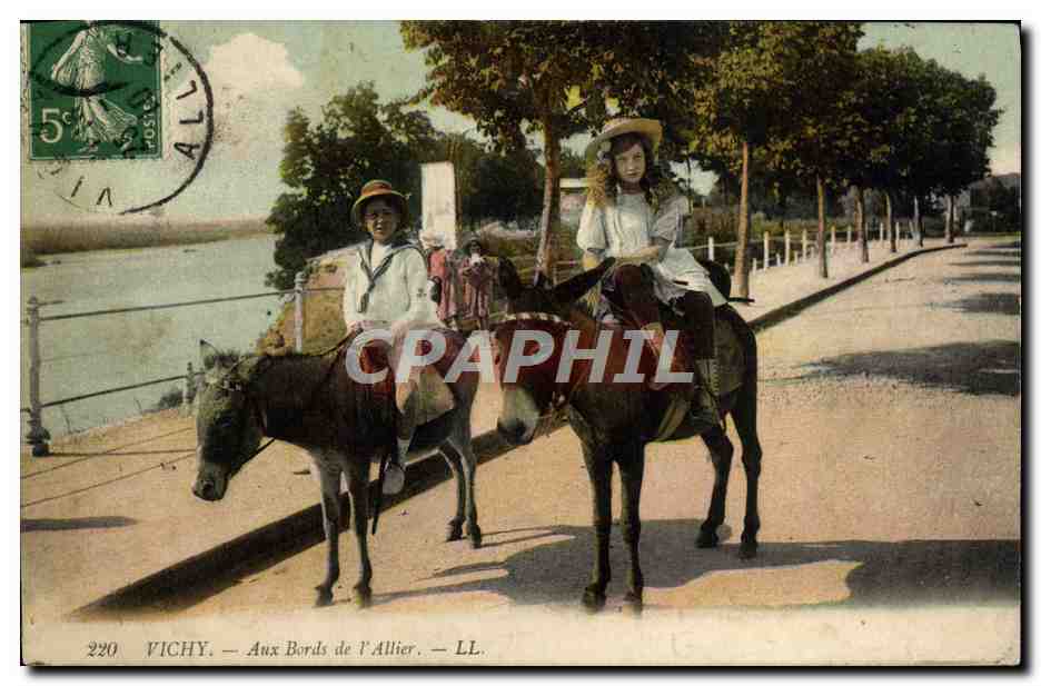 CPA Ane Mule Vichy Aux bords de l'Allier 