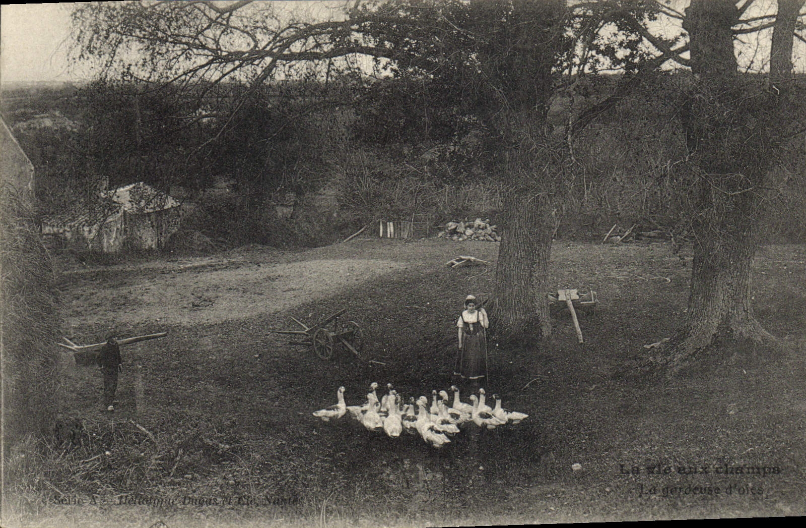CPA Folklore Gardeuse d'oies 