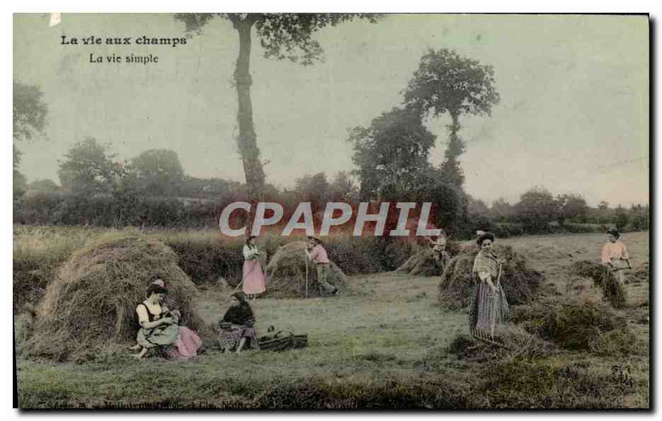 CPA Folklore La vie aux champs La vie simple