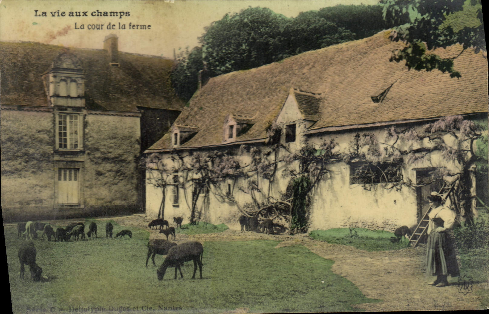 CPA Folklore La vie aux champs La cour de la ferme
