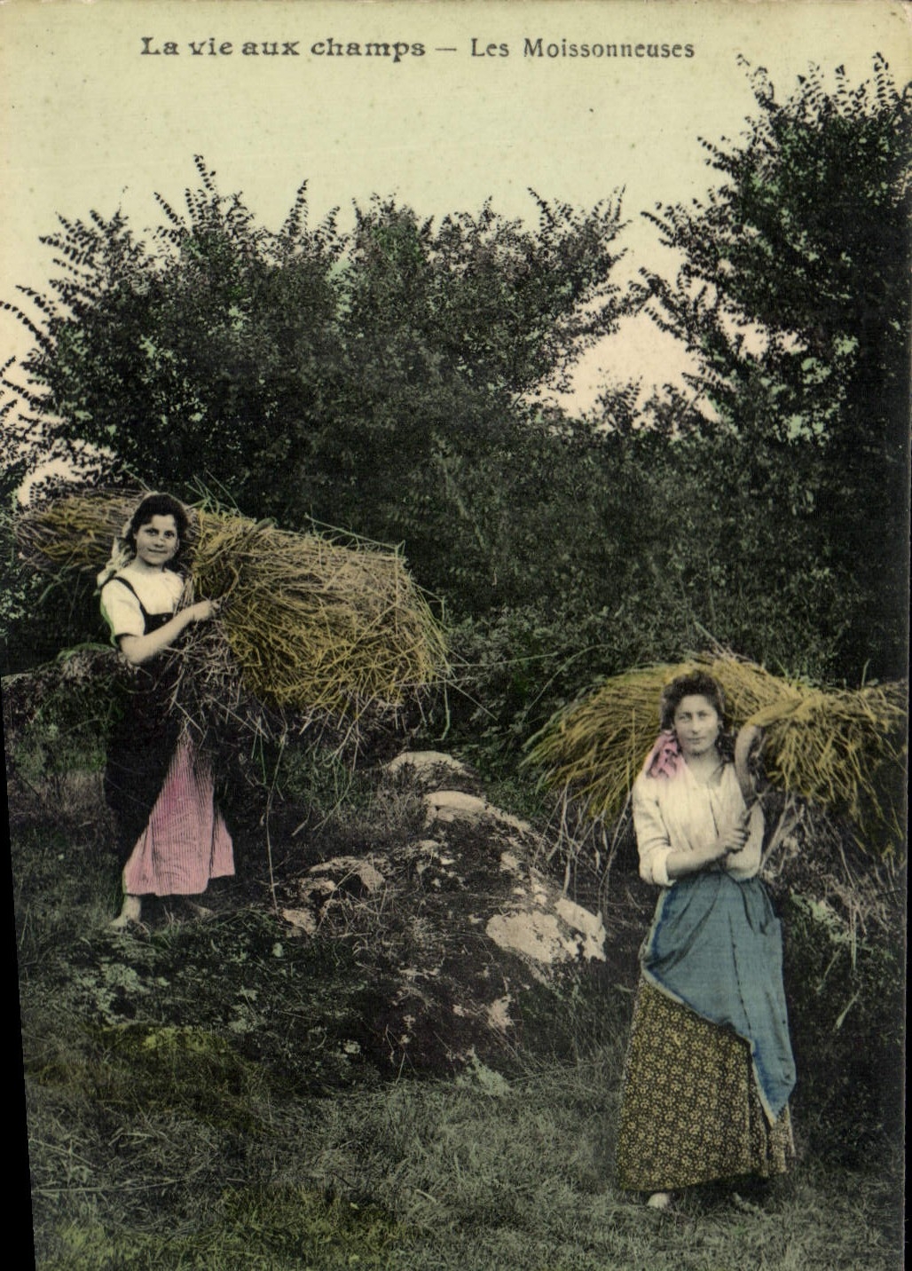 CPA Folklore La vie aux champs Les moissonneuses