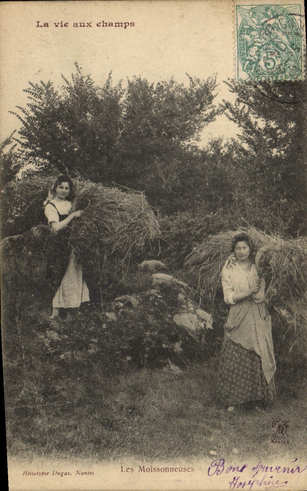 CPA Folklore La vie aux champs Les moisonneuses 