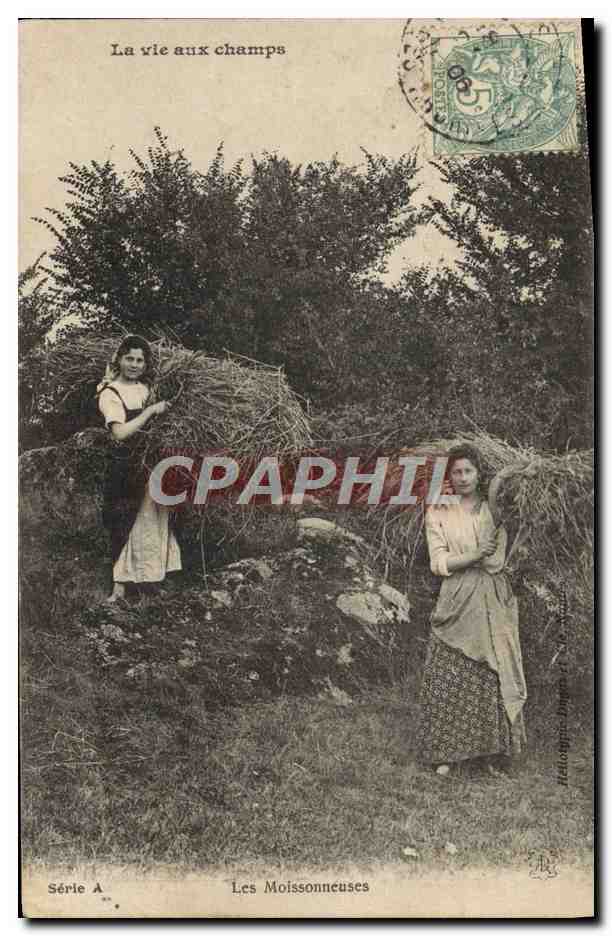 CPA Folklore La vie aux champs Les moissonneuses 