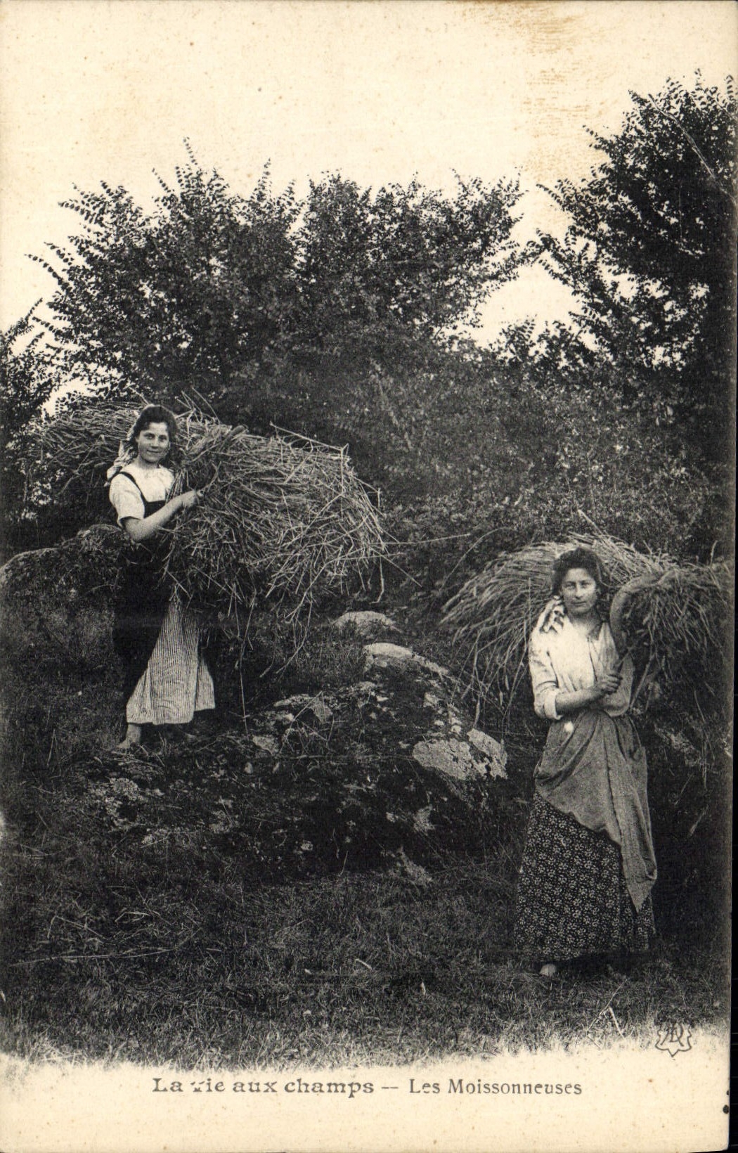 CPA Folklore La vie aux champs Les moissonneuses 