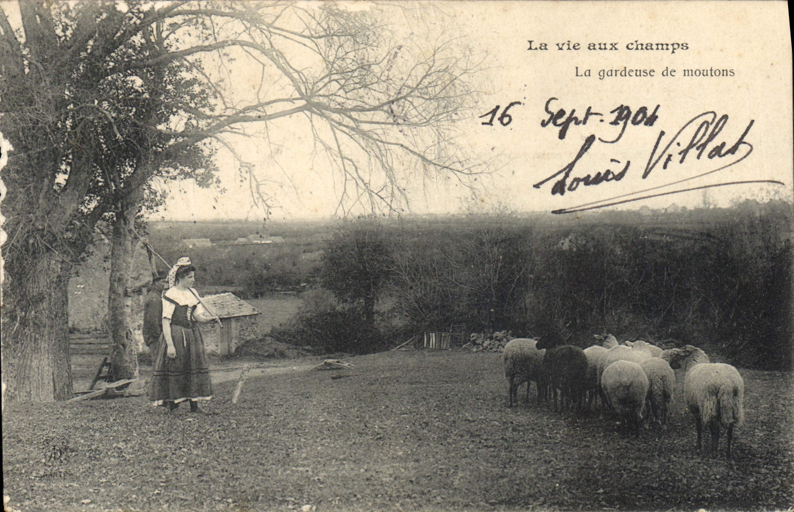 CPA Folklore La vie aux champs La gardeuse de moutons