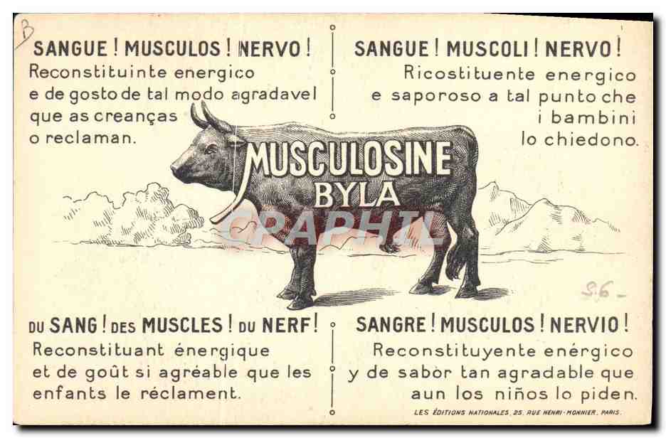 CPA Indien Publicite Musculosine Boeuf — Verso