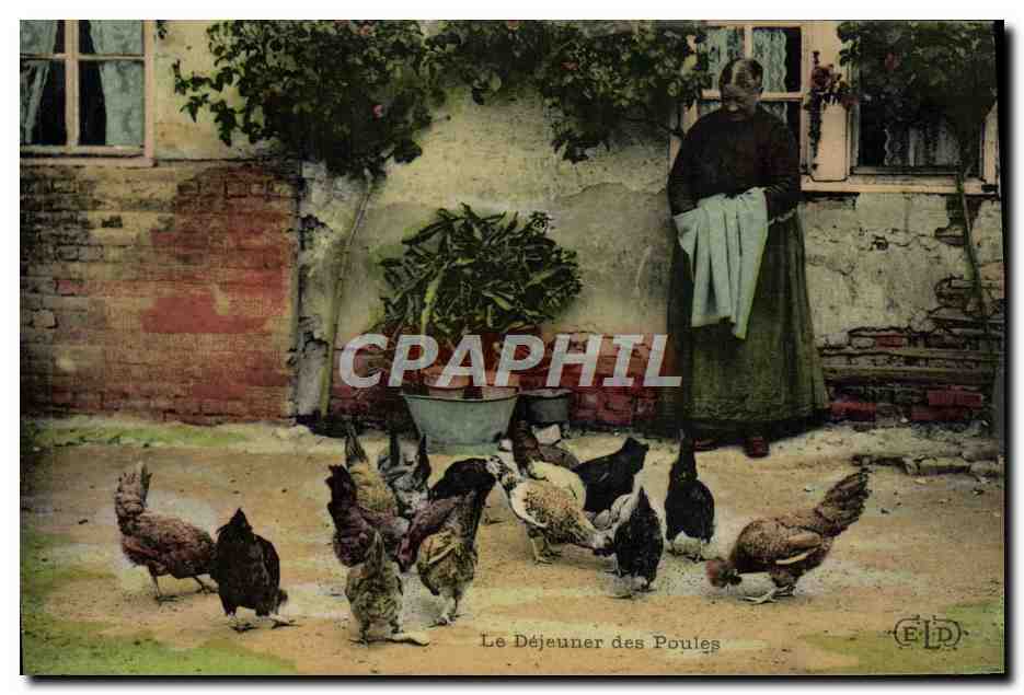 CPA Folklore Le dejeuner des poules 