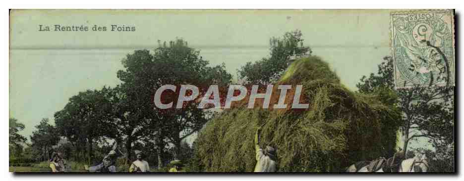CPA Folklore La rentree des foins