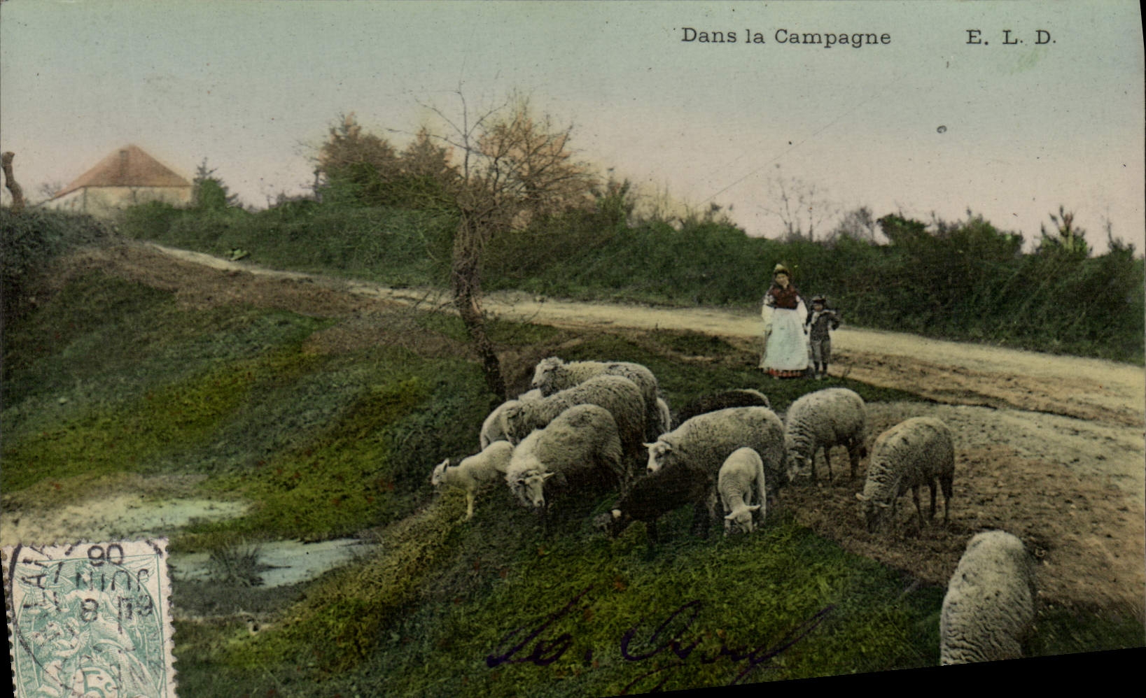 CPA Folklore Dans la campagne Moutons