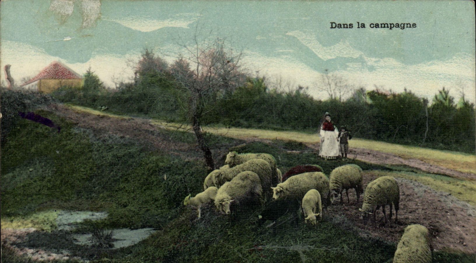 CPA Folklore Dans la campagne Moutons