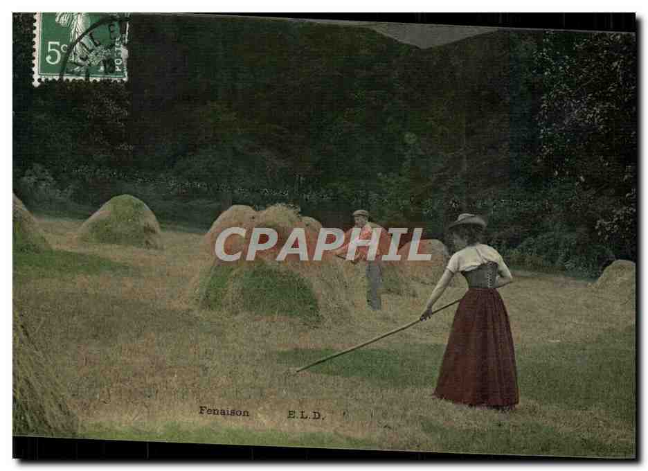 CPA Folklore Fenaison 