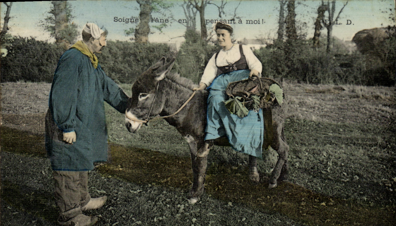 CPA Folklore Soigne l'ane en pensant a moi Mule 