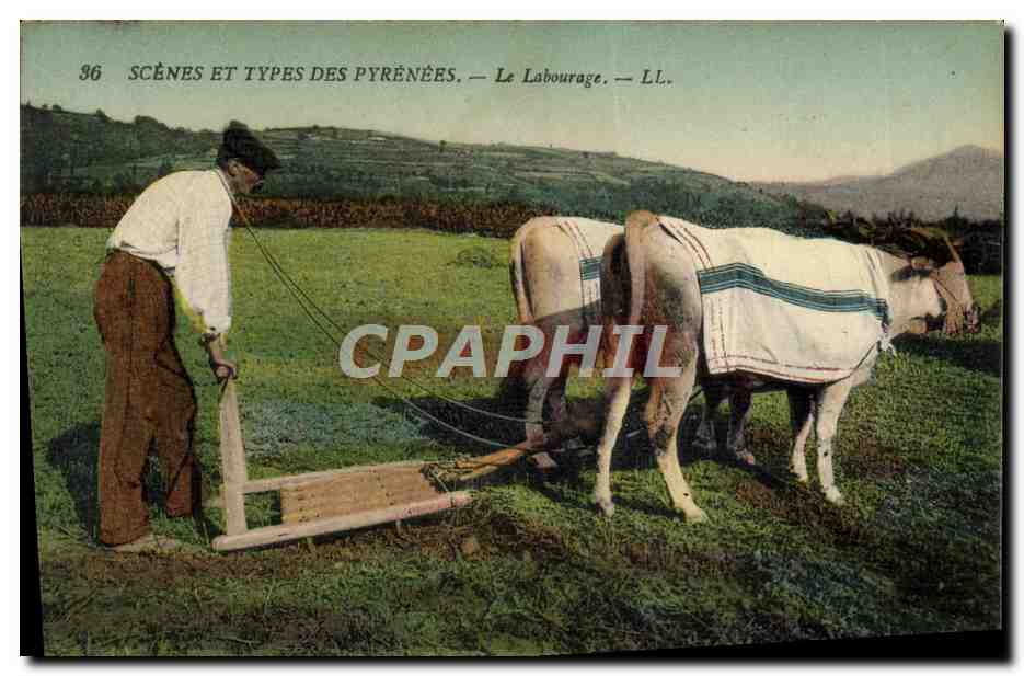 CPA Folklore Le labourage Boeufs 