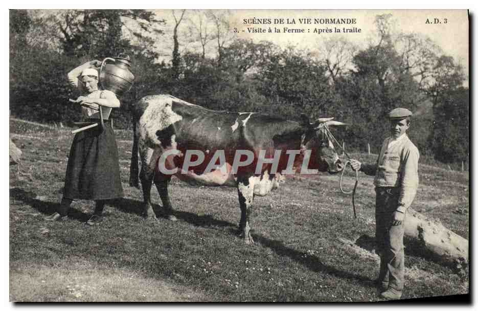 CPA Folklore Scenes de la vie normande Visite a la ferme Apres la traite Vache 