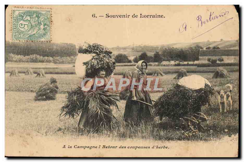 CPA Folklore Souvenir de Lorraine A la campagne Retour des coupeuses d'herbe 