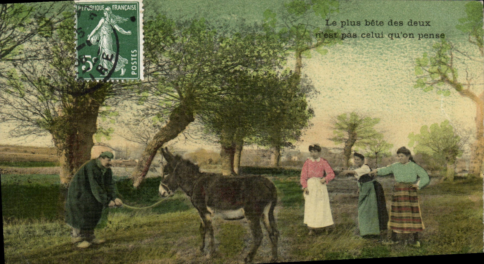 CPA Folklore Le plus bete des deux n'est pas celui qu'on pense Ane Mule (carte toilee)