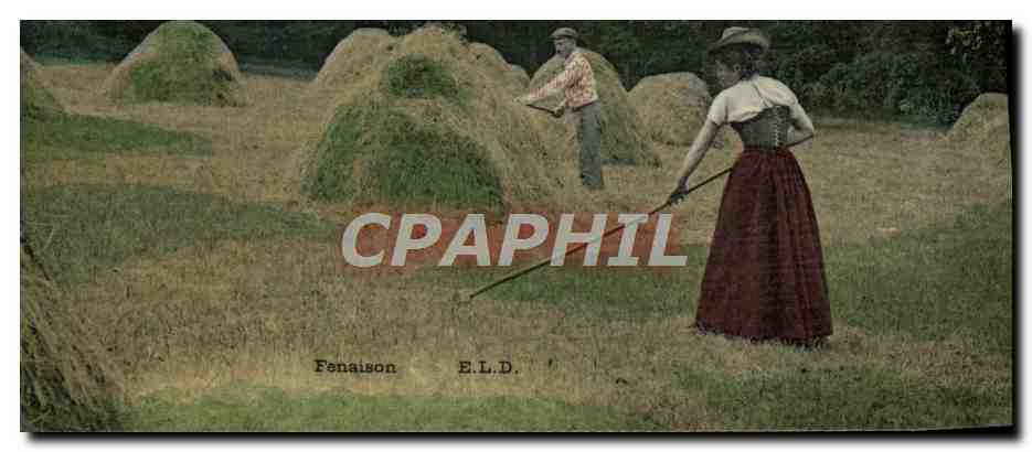 CPA Folklore Fenaison
