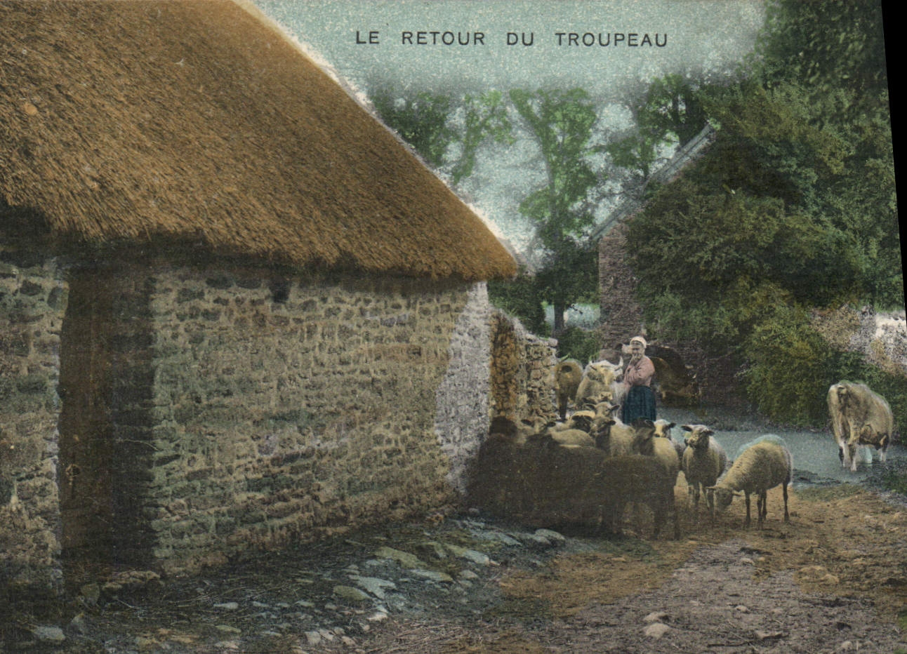 CPA Folklore Le retour du troupeau Moutons