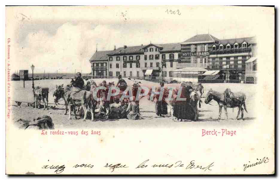CPA Ane Mule Berck Plage Le rendez vous des anes