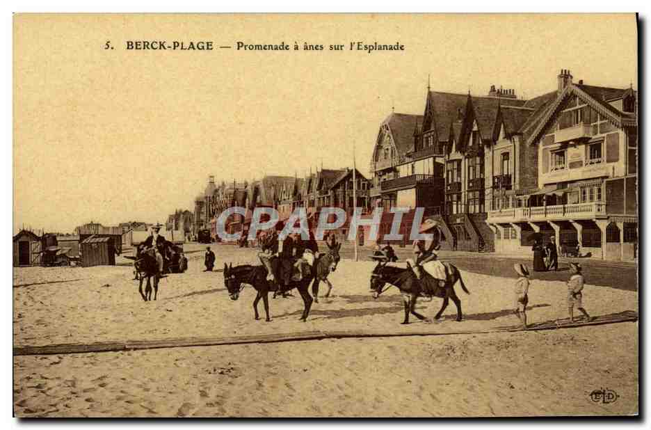 CPA Ane Mule Berck Plage Promenade a anes sur l'esplanade 