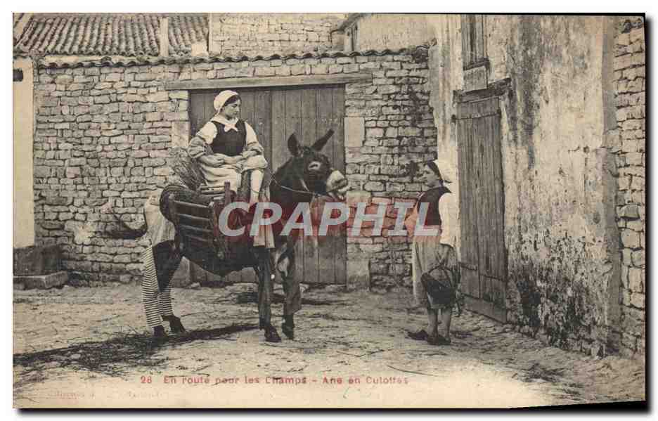 CPA Ane Mule En route pour les champs Ane en culottes 