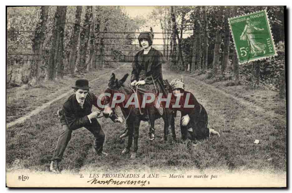 CPA Ane Mule Les promenades a ane Martin ne marche pas 