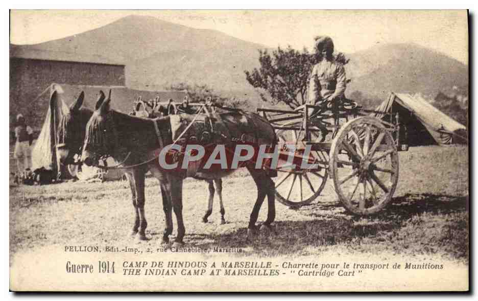 CPA Ane Mule Camp de Hindous a Marseille Charette pour le transport de munitions Militaria