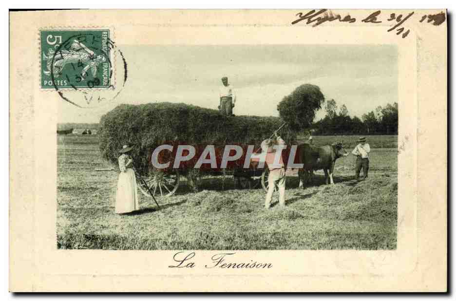 CPA Folklore La fenaison 