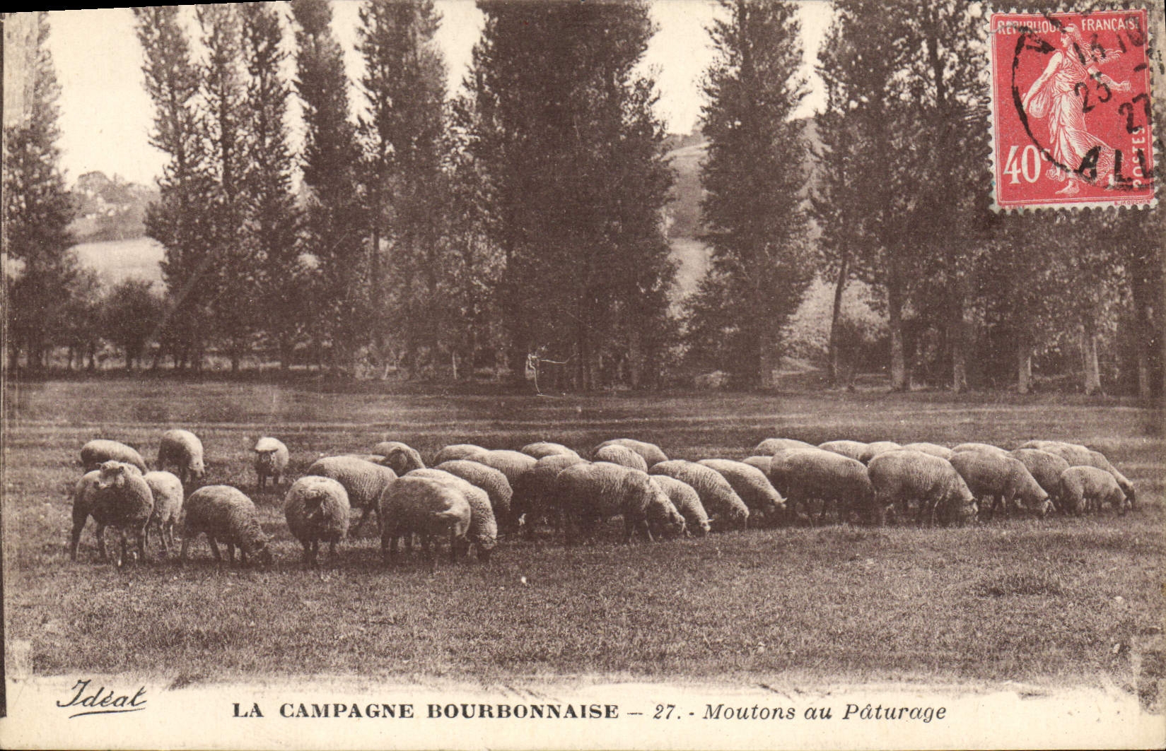 CPA La campagne Bourbonnaise Moutons au paturage 
