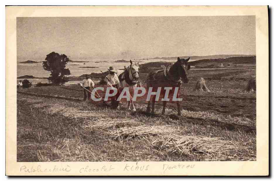 CPA Folklore Attelage Labour Cheval chocolat klaus 