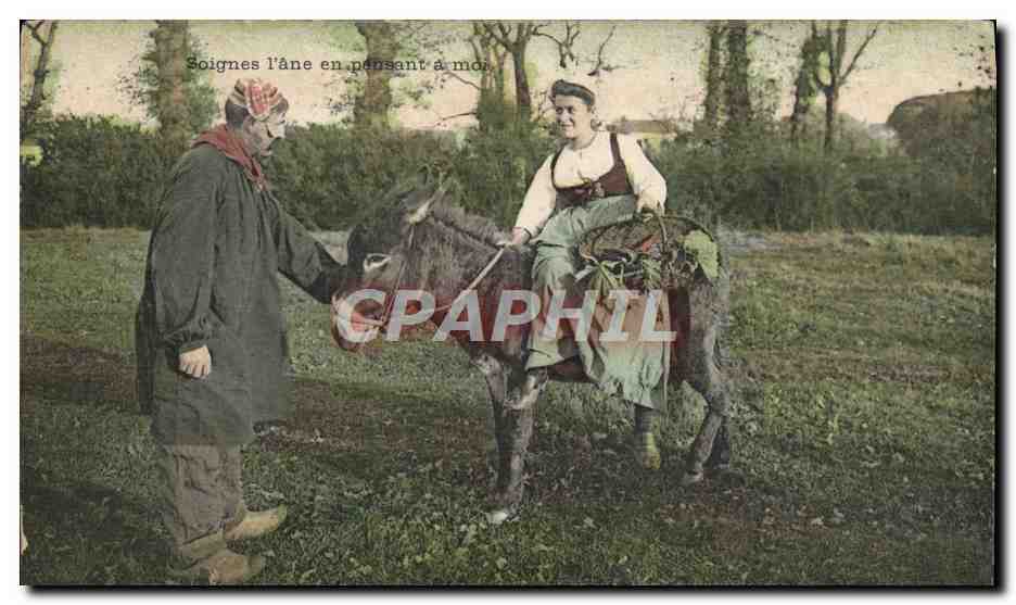 CPA Folklore Soignes l'ane en pensant a moi Femme Mule
