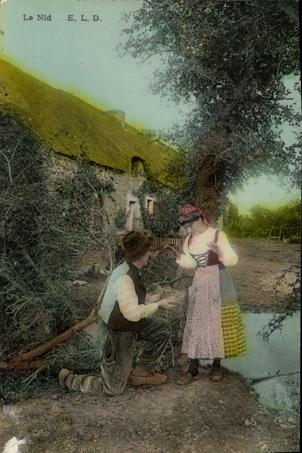 CPA Folklore Le nid